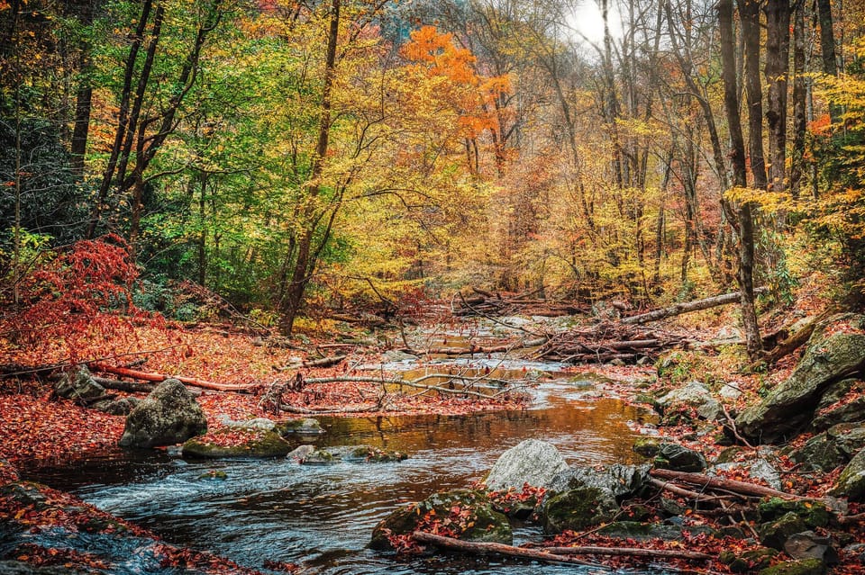 Take in one of the amazing hikes along the river