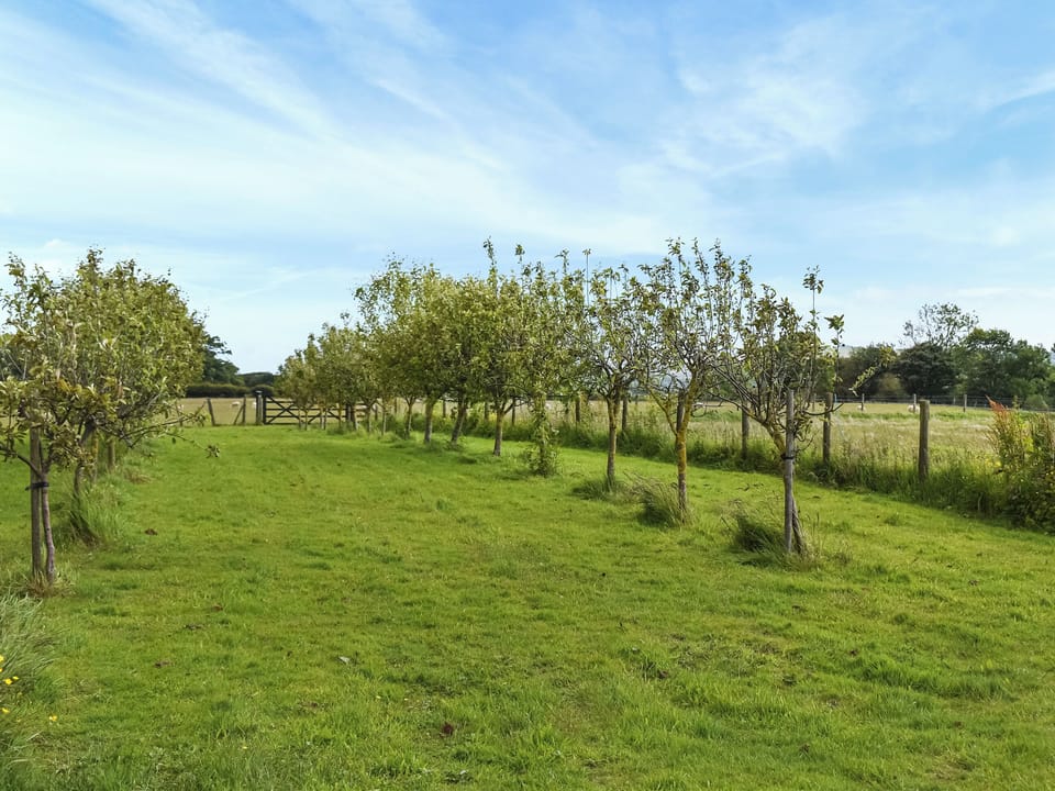 Outdoor area | Swallow Cottage - East Ridge Farm Holiday Cottages, Staithes, near Saltburn-by-the-Sea