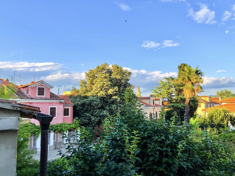 View from room