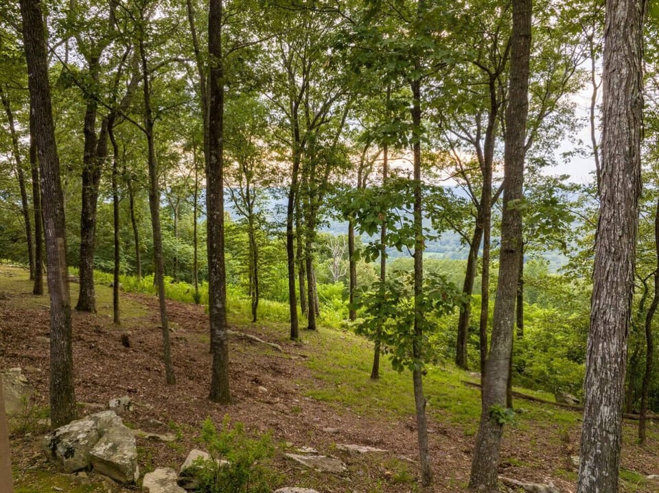The beautiful mountain scapes view from A Bear`s Lair.