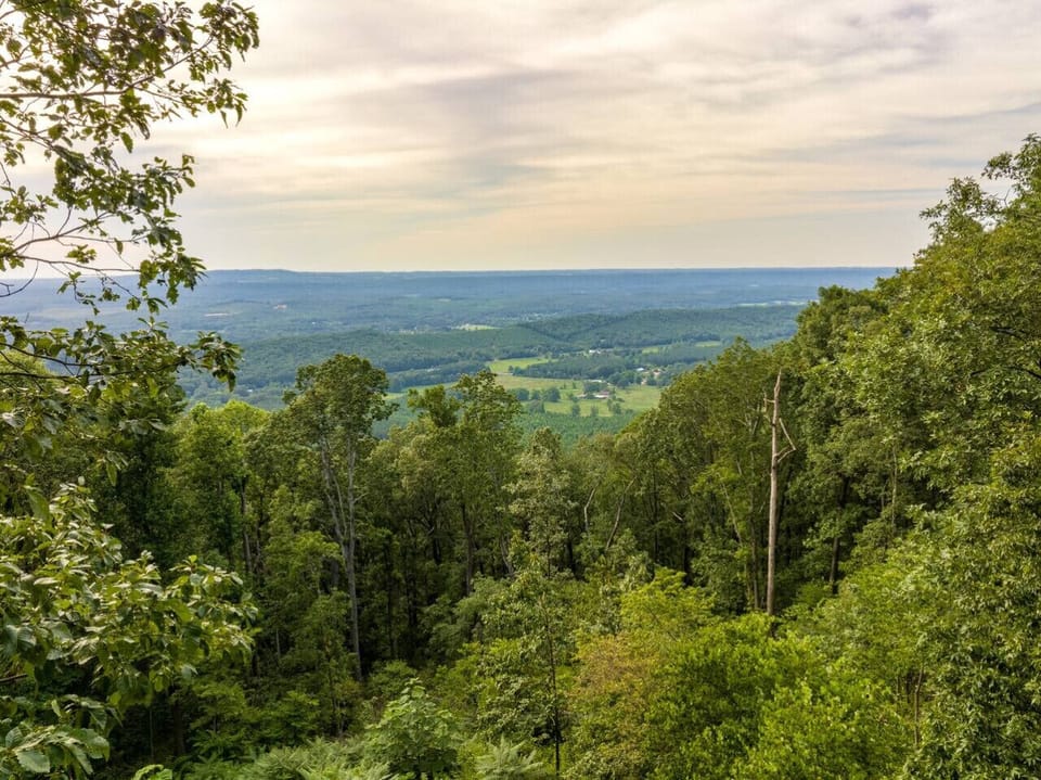 VIEWS from the back porch of Paradise Found!