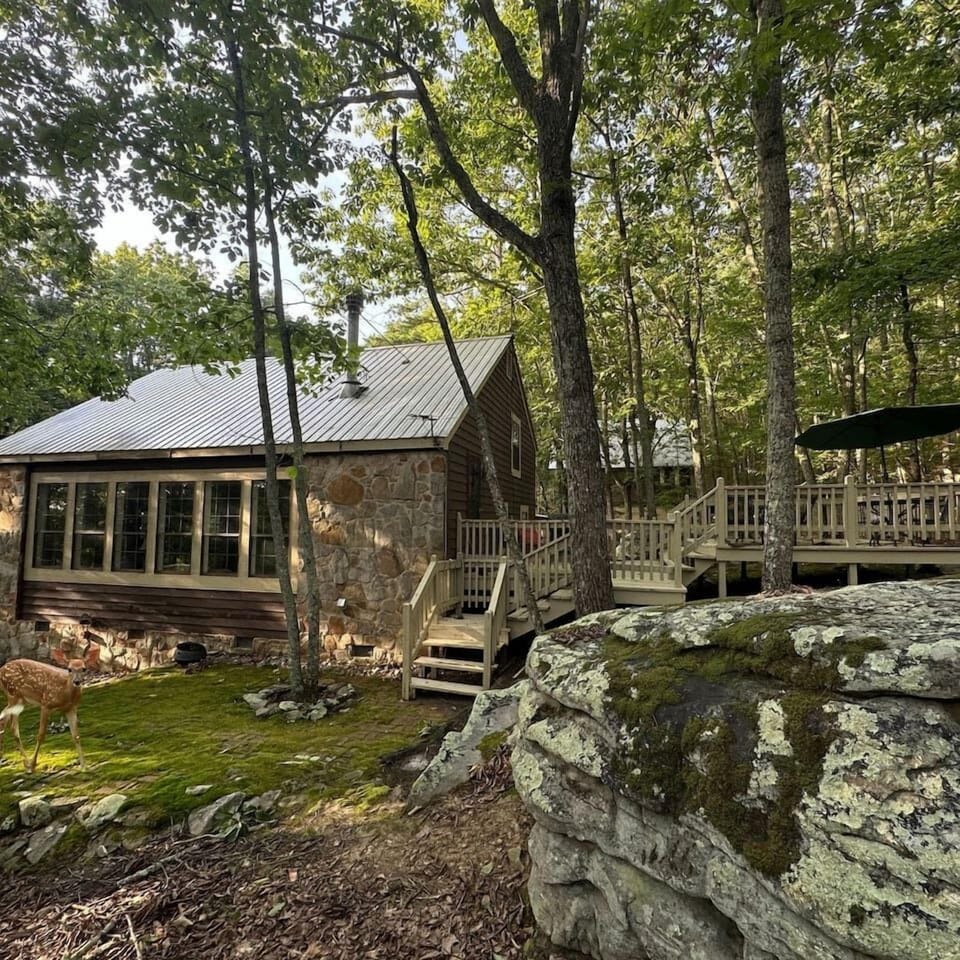 Historic rock home with large back porch, moss yard, fire pit, and horse shoes.