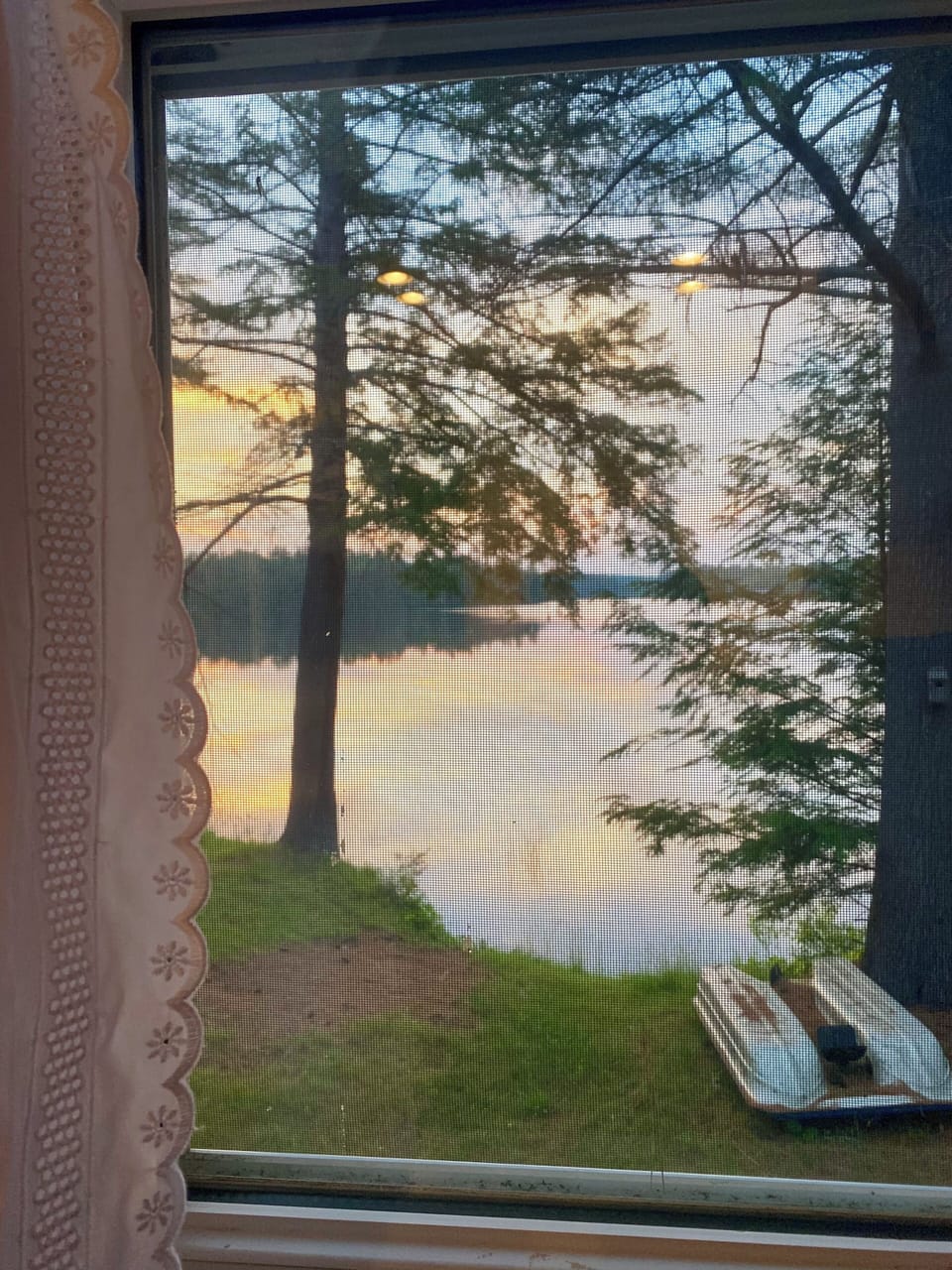 The view outside the living room window.