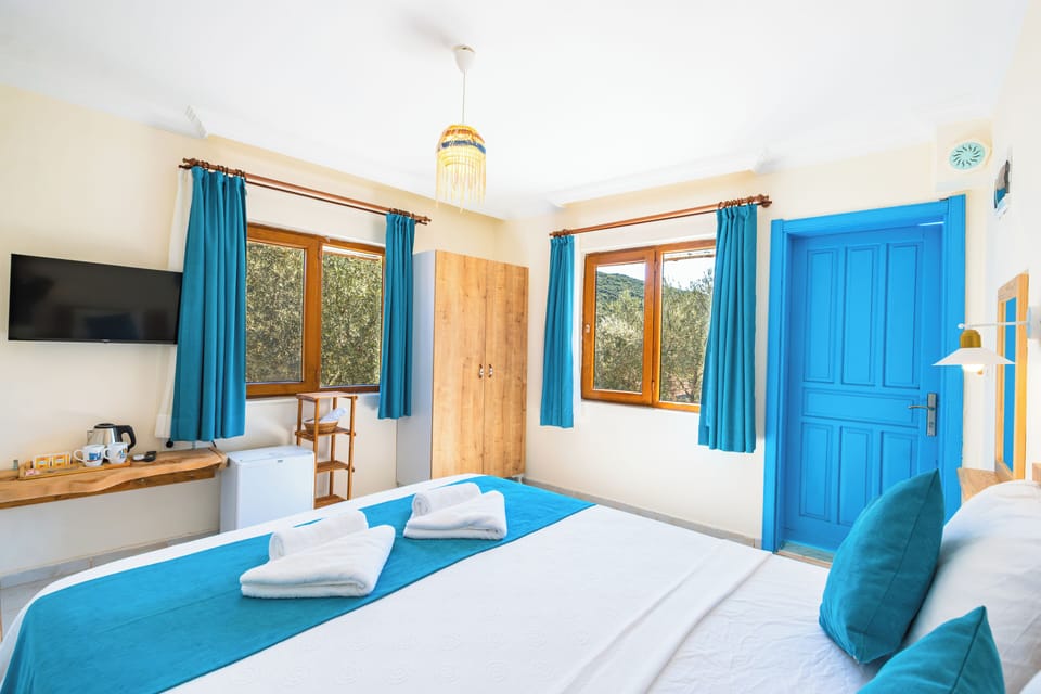 Premium bedding, minibar, free WiFi, bed sheets