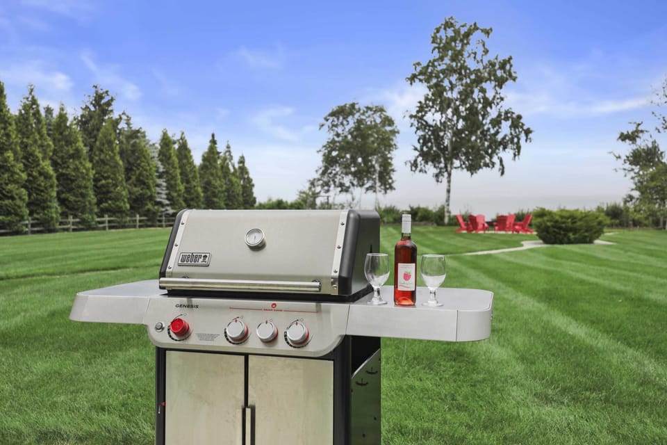 Gas grill