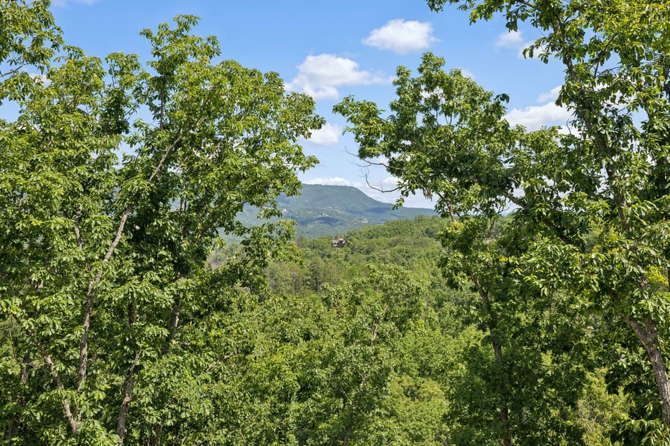 Cabin, 5 Bedrooms | Mountain view