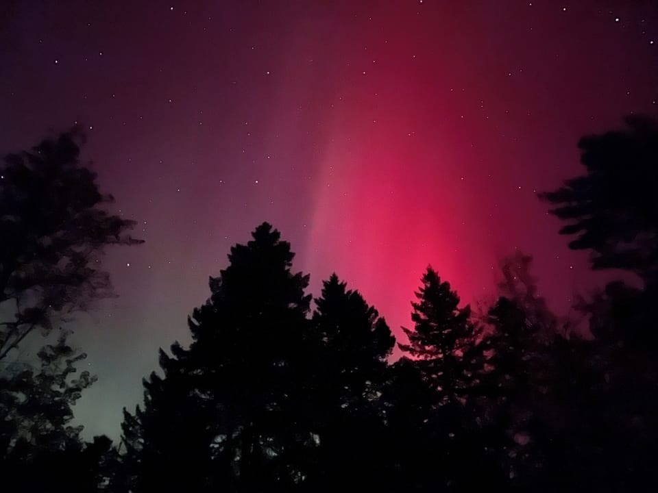 My back yard, October 2024-photo taken by one of my guests