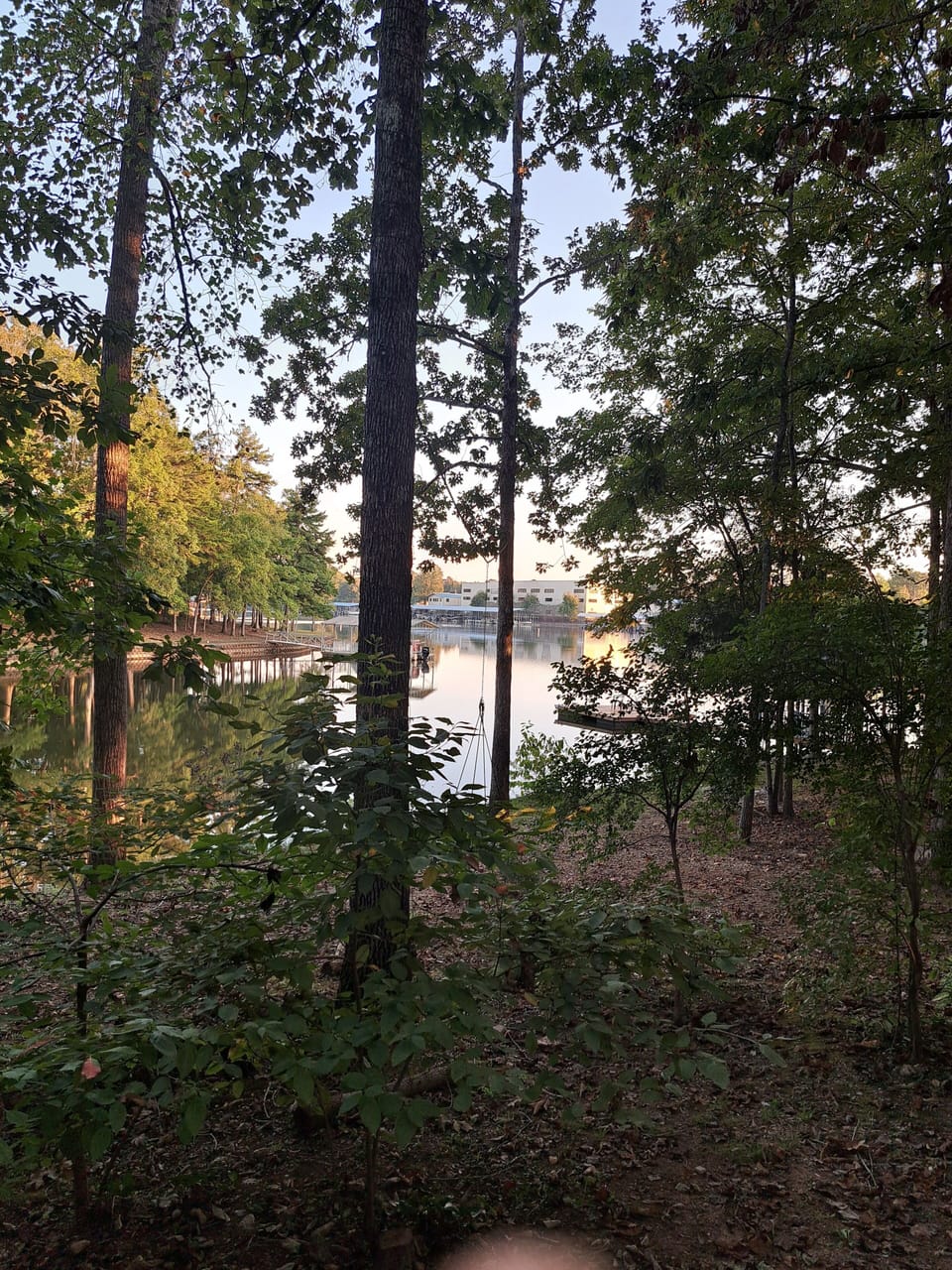 Water view