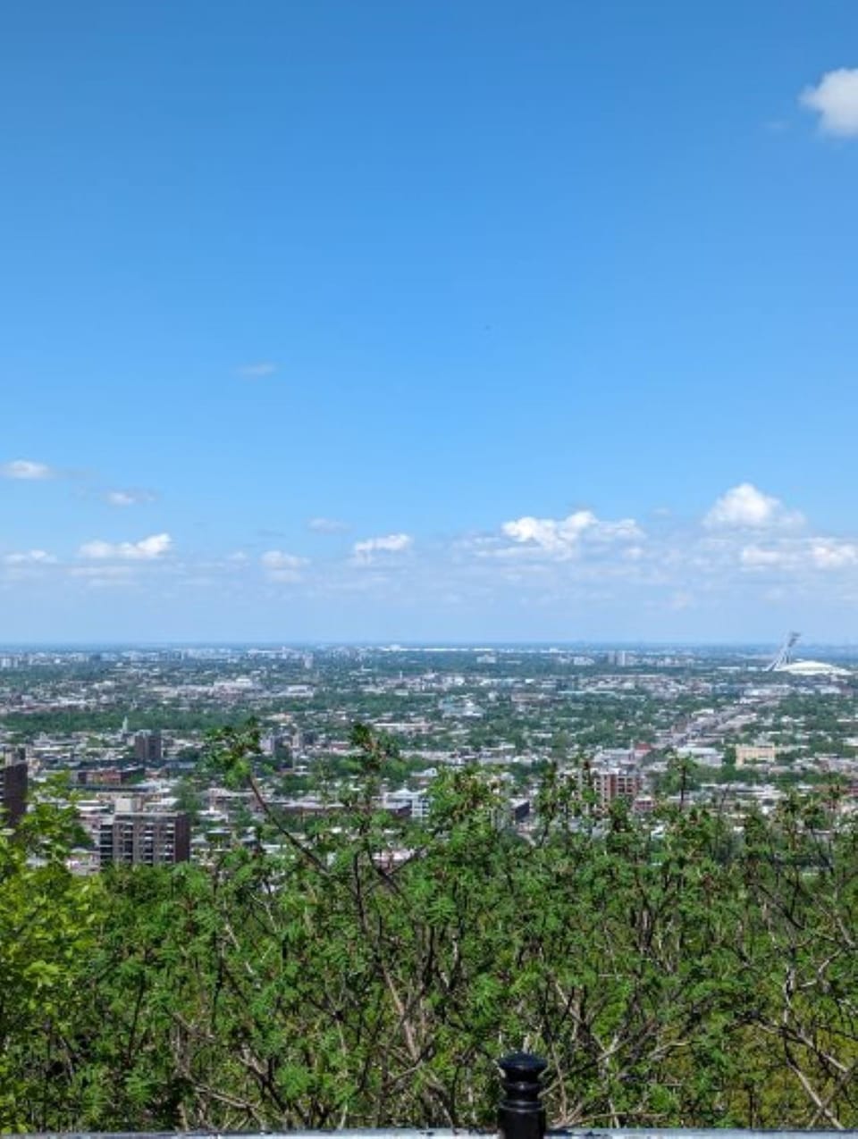 View from property