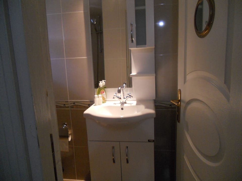 Double or Twin Room | Bathroom | Shower, free toiletries, hair dryer, slippers