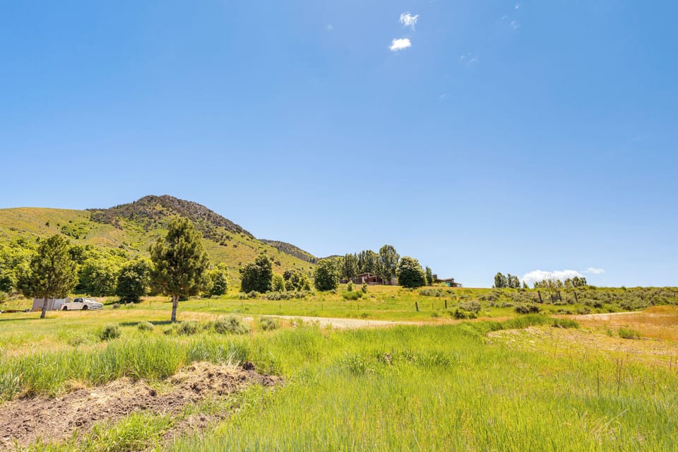 Property Views