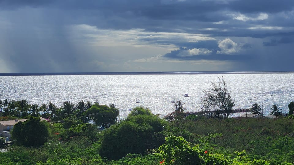 Coastal view from the nearby ridge
