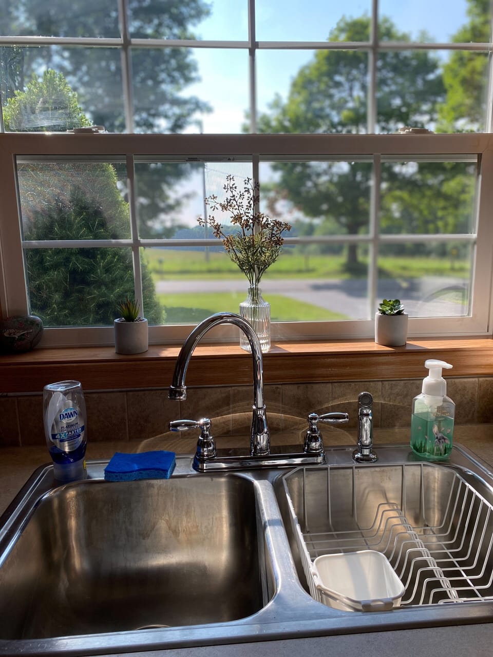 Beautiful view from kitchen window