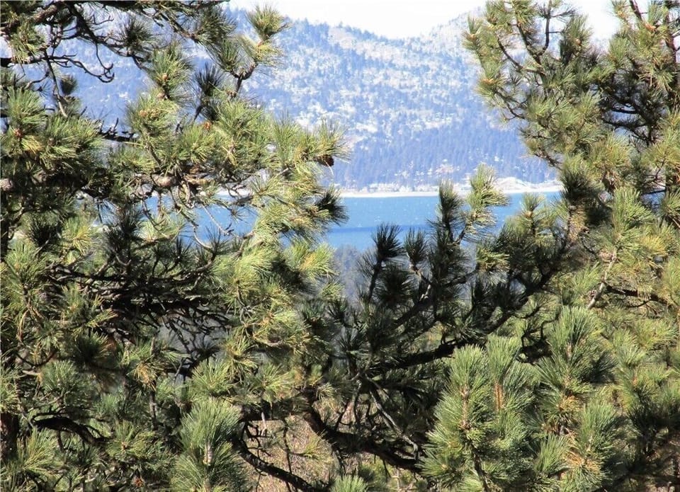 Peak-a-boo lake view