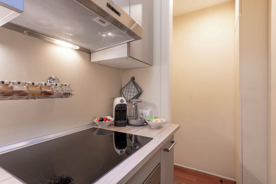 Superior Apartment | Private kitchen | Fridge, oven, stovetop, dishwasher