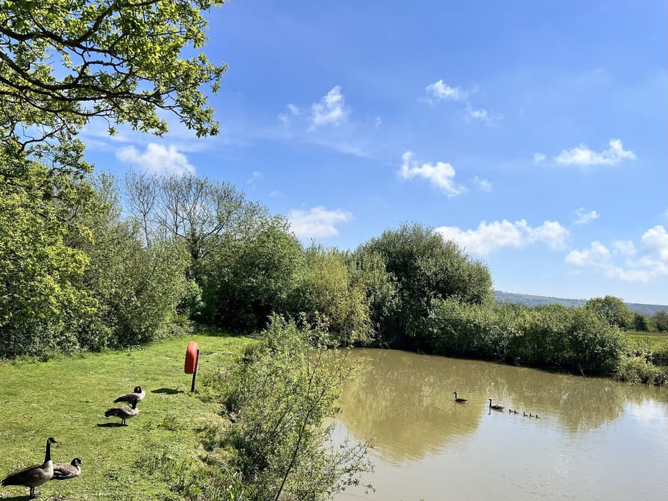 Roebeck Country Park, Ryde, Isle of Wight
