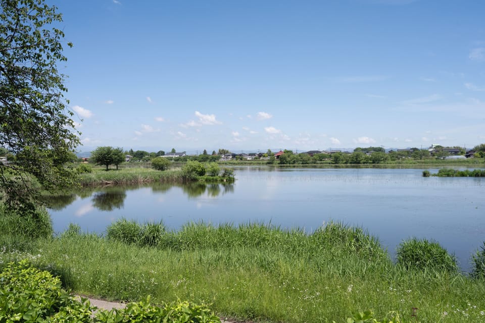 Lake view