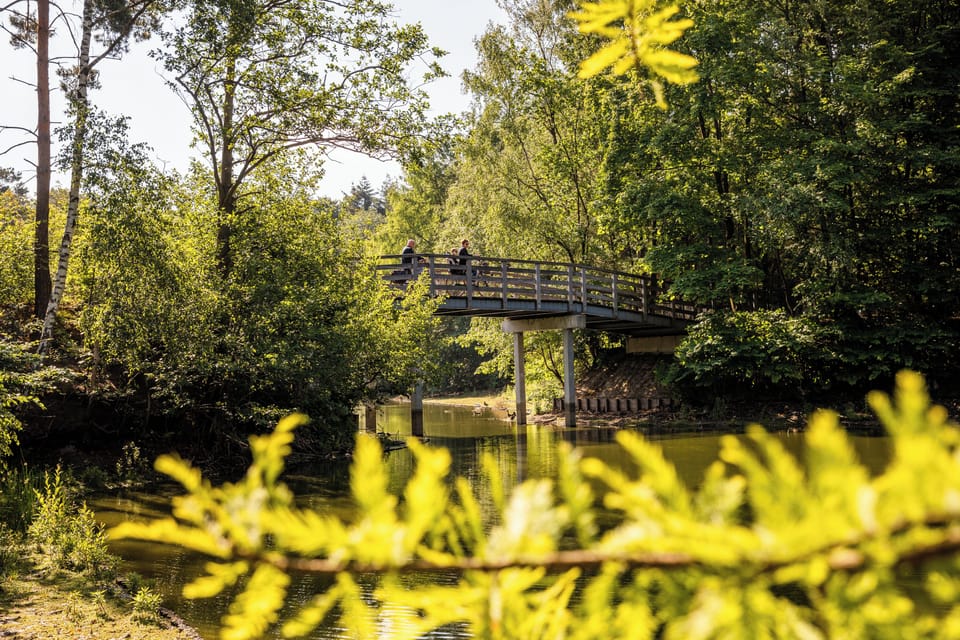 Floral Frame: Discover Hidden Paths in Blooming Nature - Visit Brabant