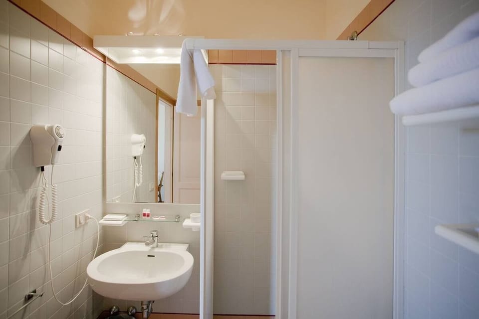 Shower, bidet, towels, soap