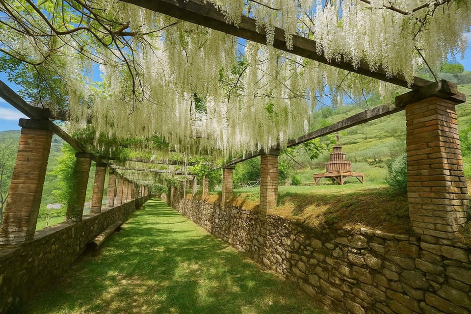 House | 2 bedrooms