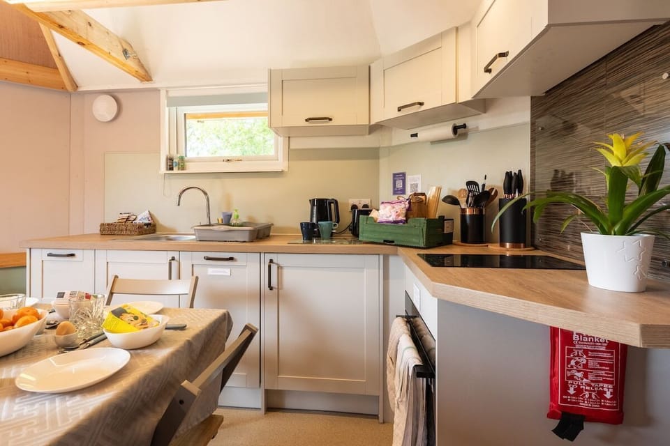 Design Apartment, Private Bathroom (Sleeps 2-6 - Mezzanine) | Private kitchen | Full-size fridge, microwave, oven, stovetop