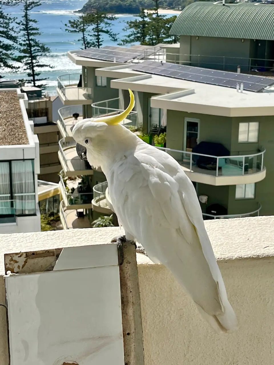 View from property