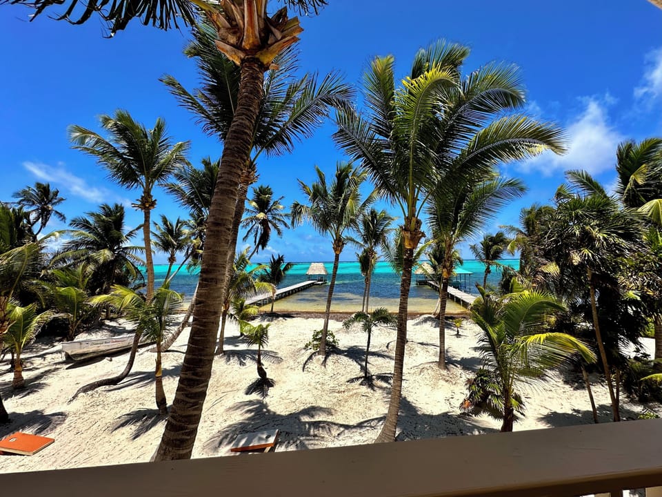 The view from the upper balcony
