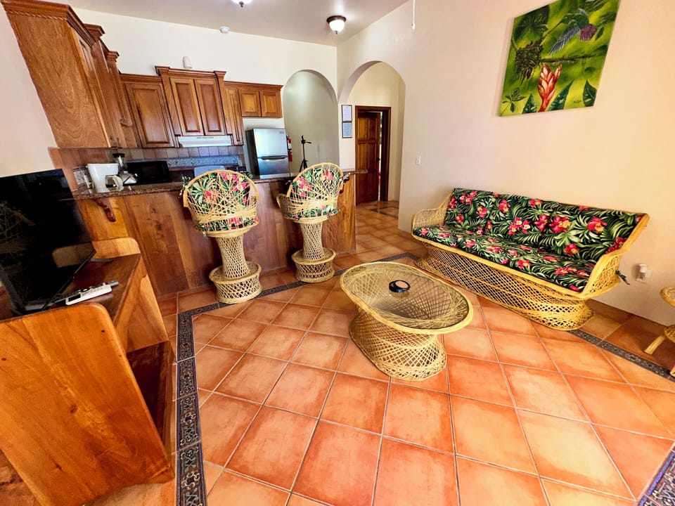 Two BDR lower living room with cable TV and breakfast bar.