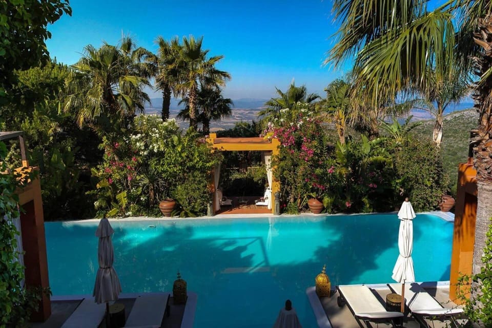 House | Pool | Outdoor pool