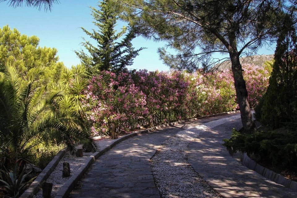 House | Property grounds