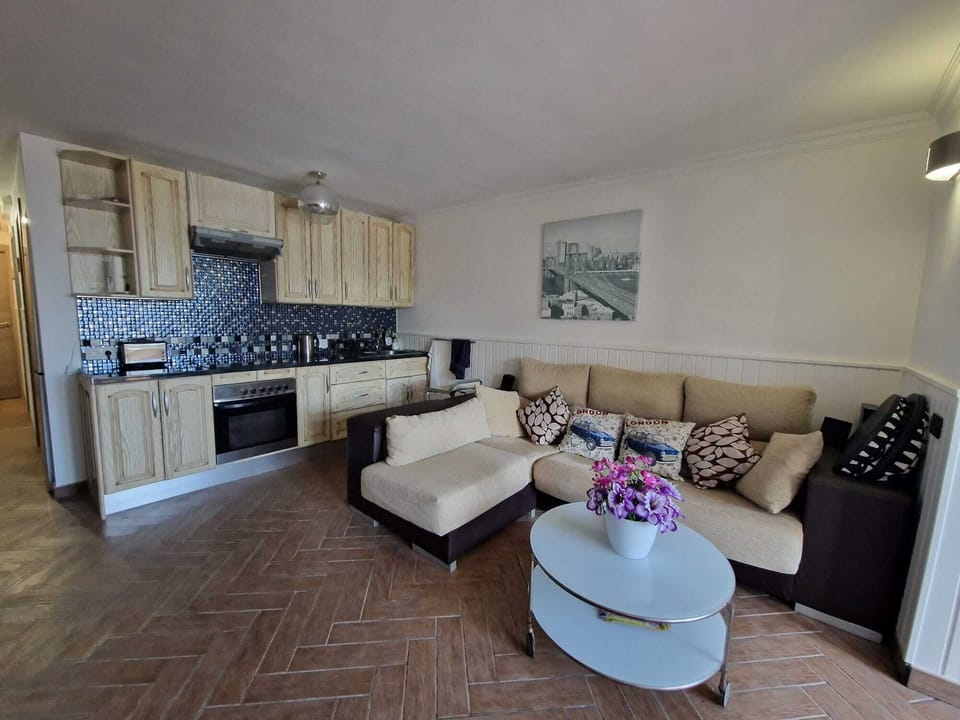 Apartment | Living area | TV