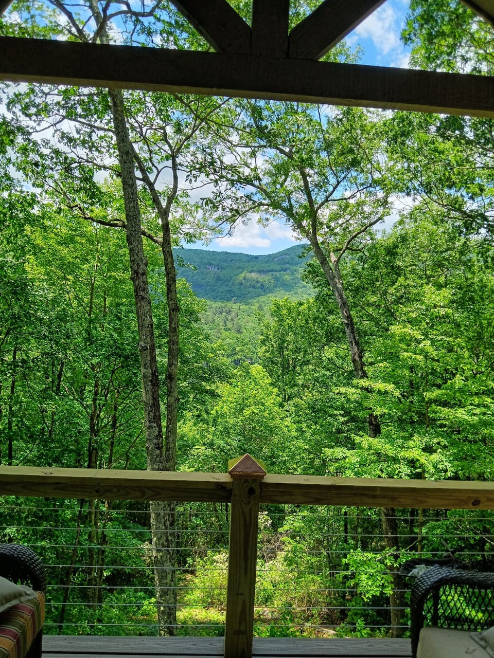 View of Toxaway Mountain looking out the french doors going out on the balcony.
