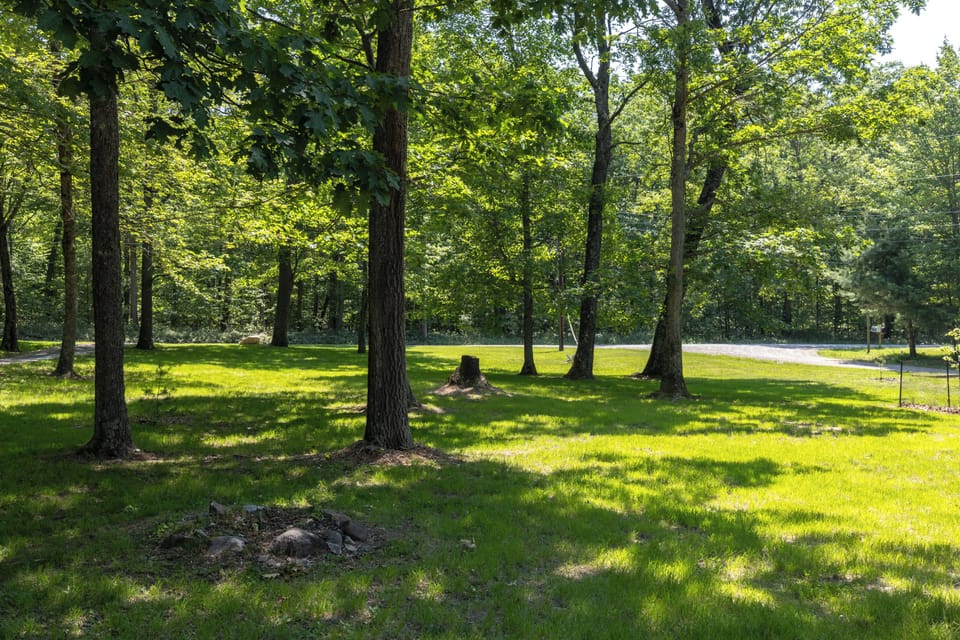 Green grass and towering trees surround the home on all sides.
