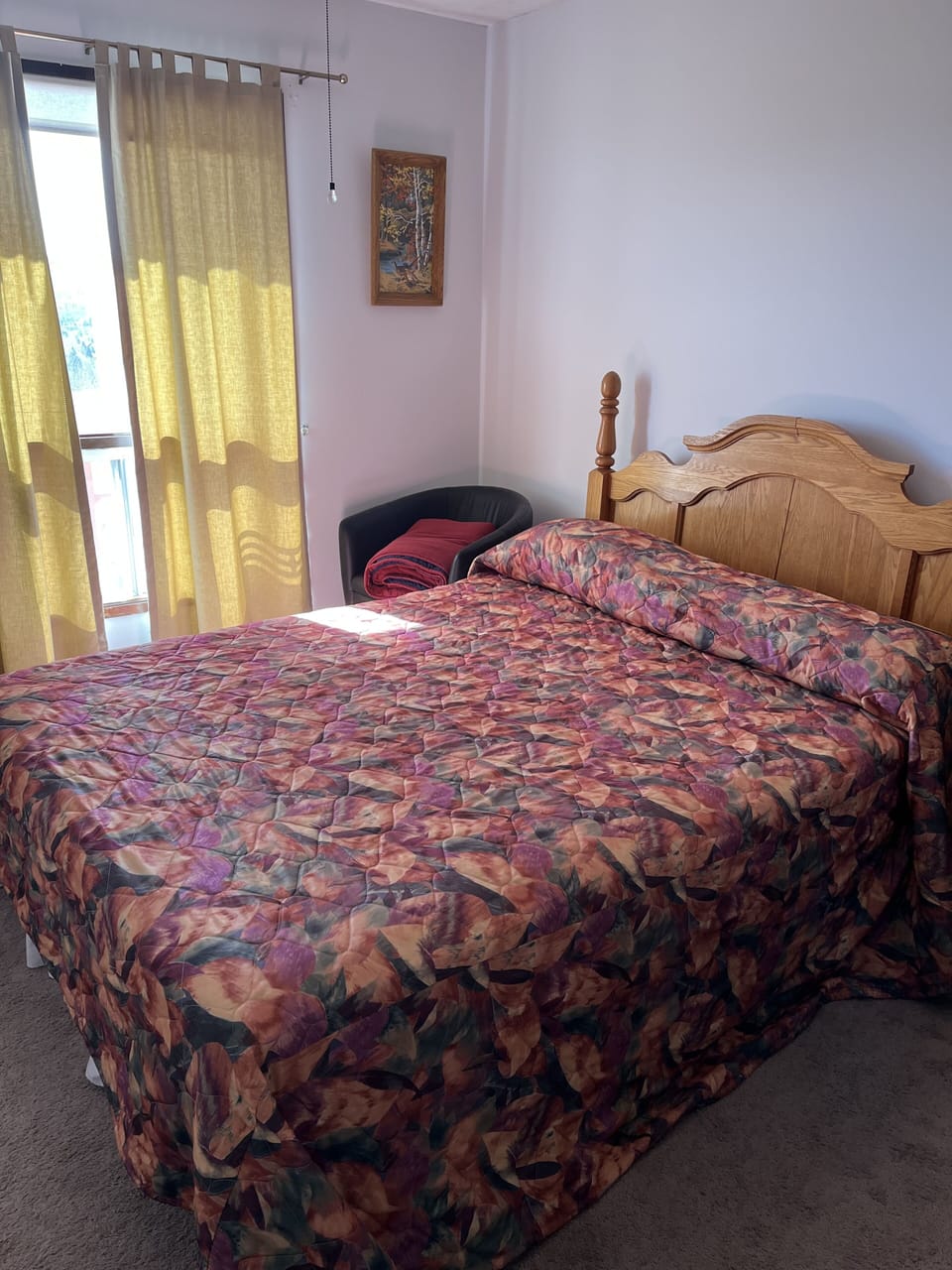 Basic Room, 1 Queen Bed, Valley View | 1 bedroom, iron/ironing board, free WiFi, wheelchair access