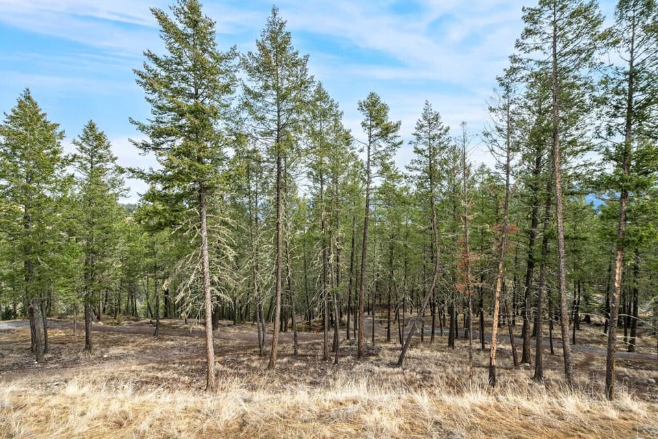 Private patio with outdoor seating, a BBQ (propane included) and forest views.
