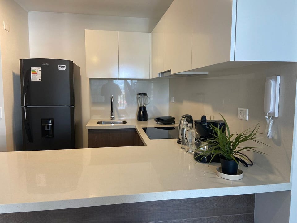 Basic Apartment | Private kitchen | Microwave, oven, stovetop, coffee/tea maker