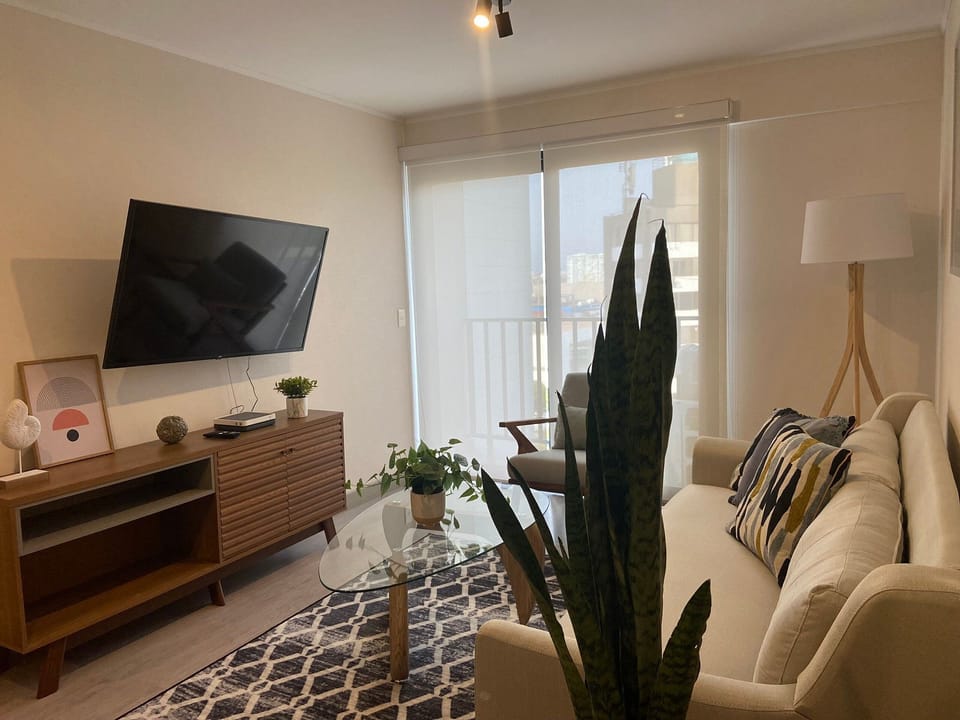 Basic Apartment | Living area | 55-inch Smart TV with digital channels