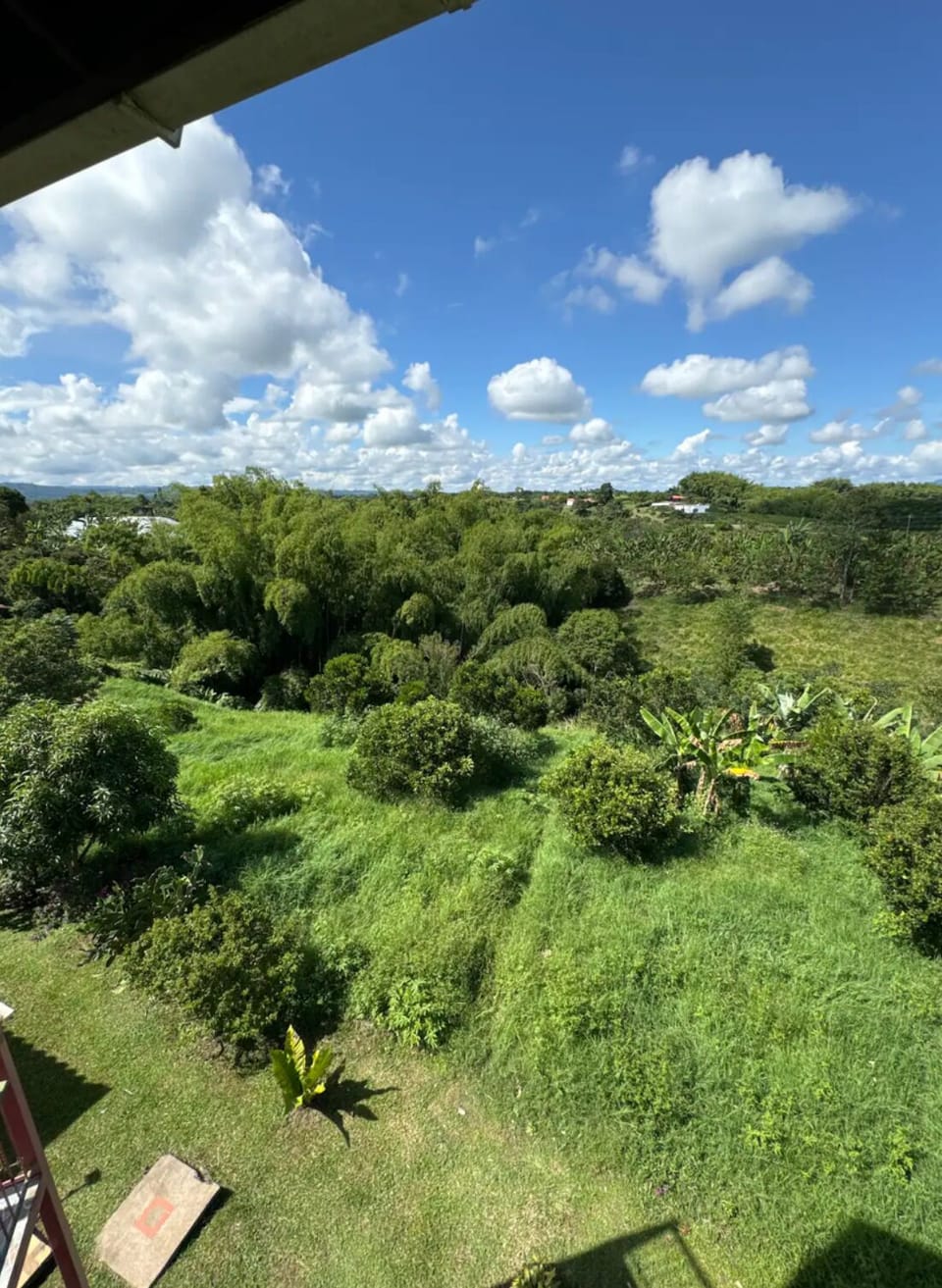 View from property