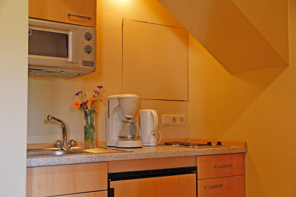 Panoramic Apartment, 1 King Bed, City View | Private kitchenette | Shared fridge