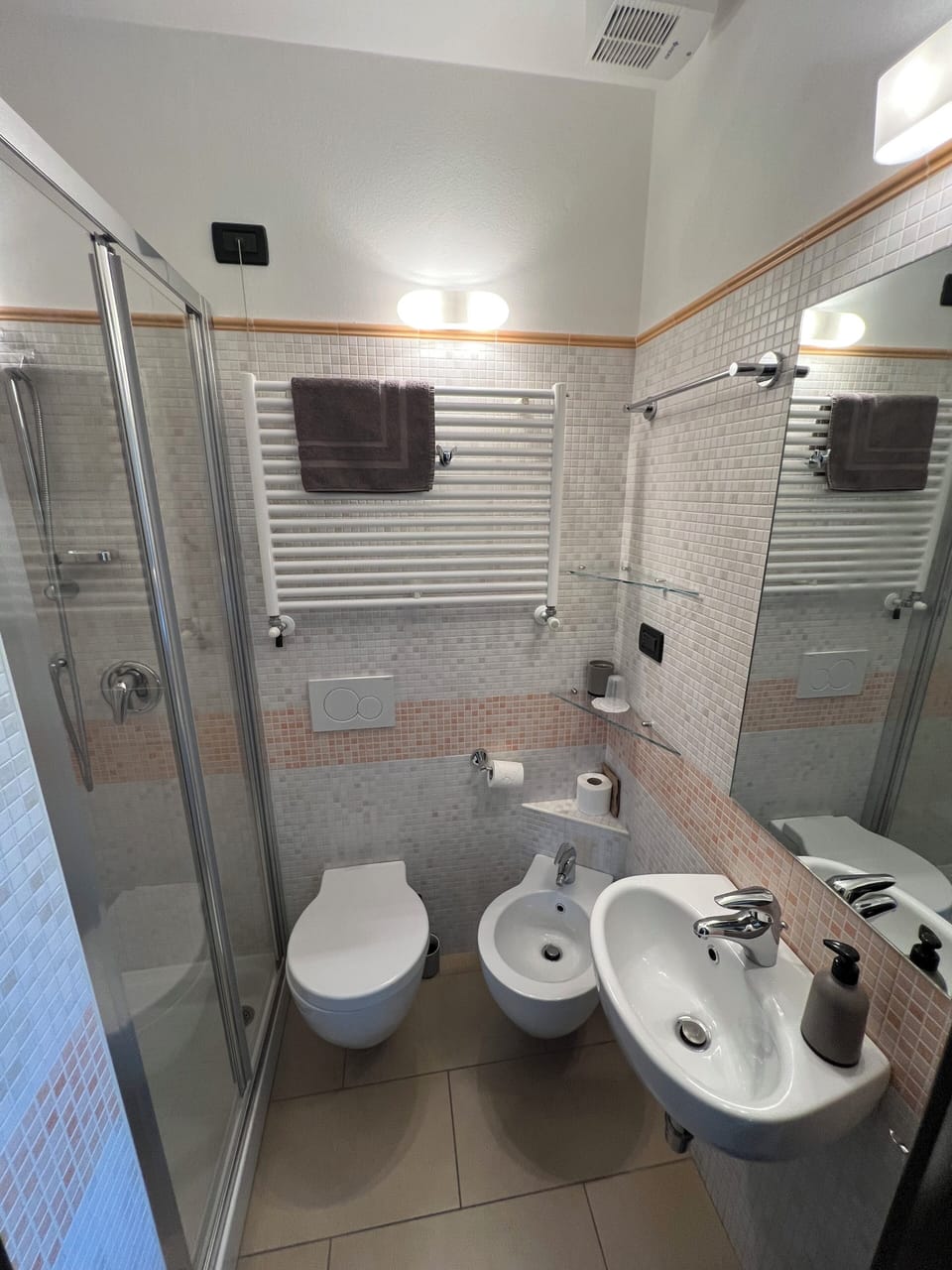 Shower, hair dryer, bidet, towels