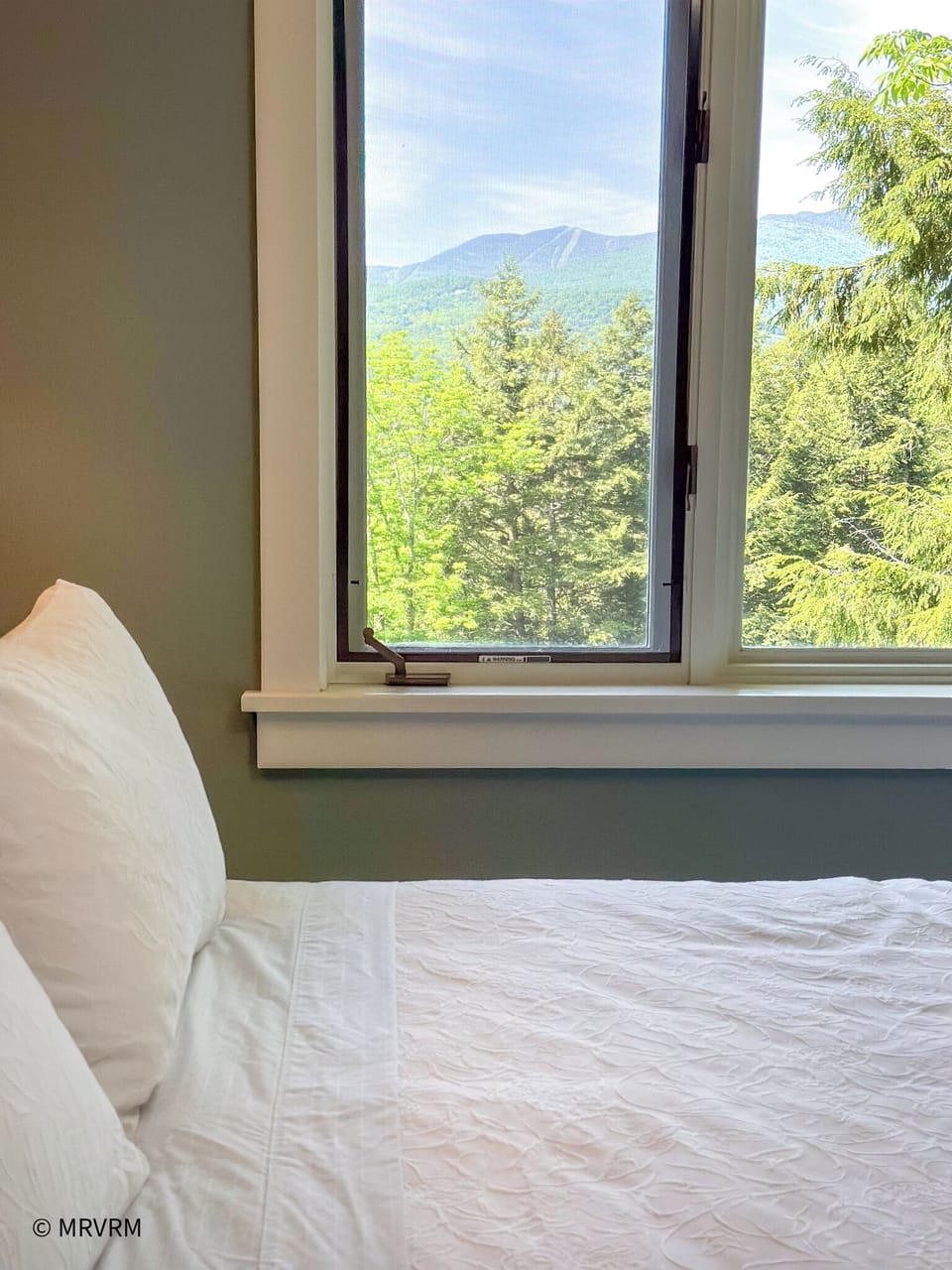 living room with gas fireplace