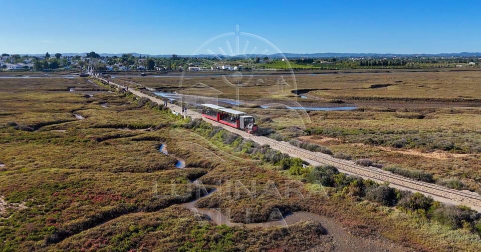Barril train