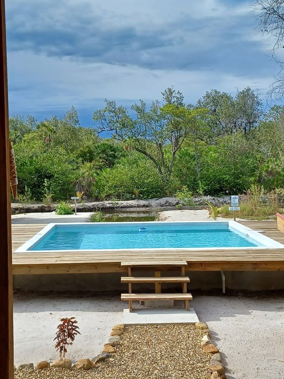 Seahorse pool view