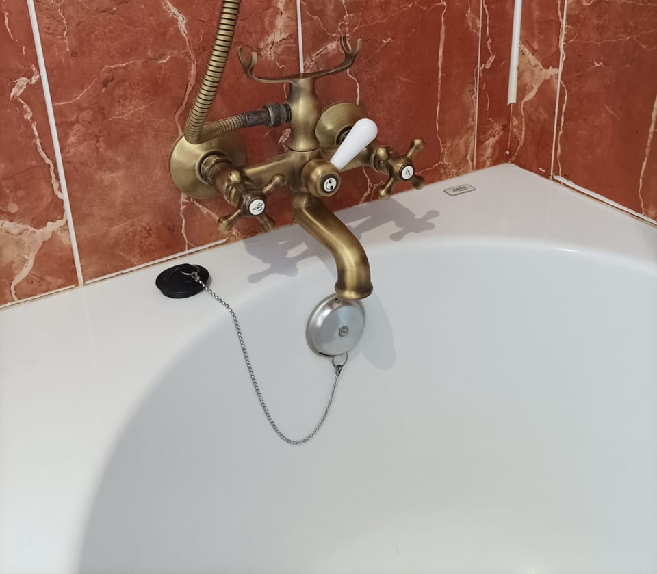 Bathtub, bidet, towels, soap