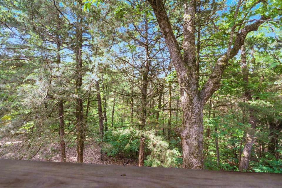 Cabin, Multiple Beds, Balcony, Garden View (Baldknobber Ridge Escape) | View from room
