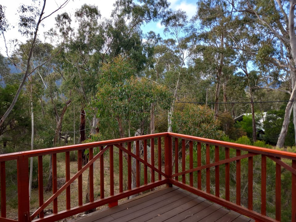 Amazing Deck Views