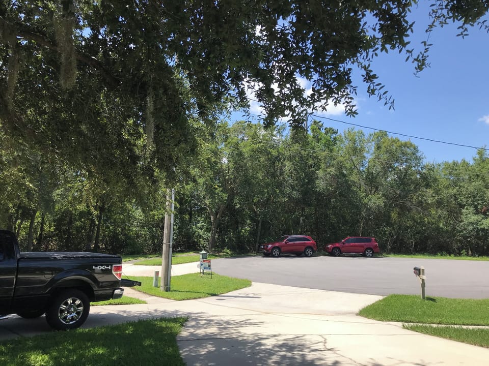 The front yard