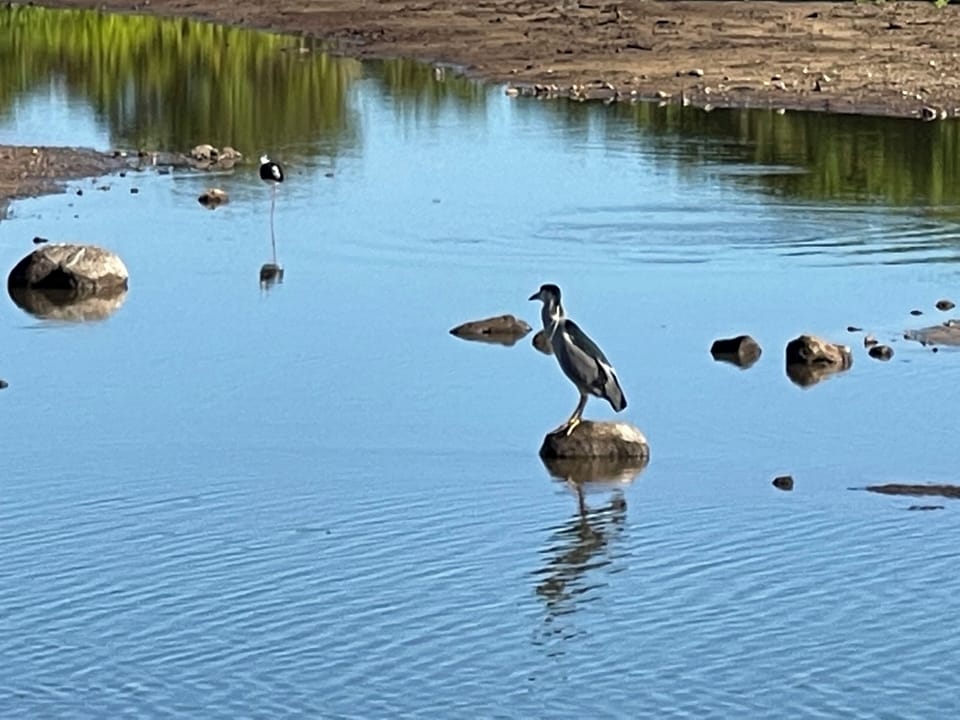 Kealia pond National Wildlife Refuge and Bird Sanctuary