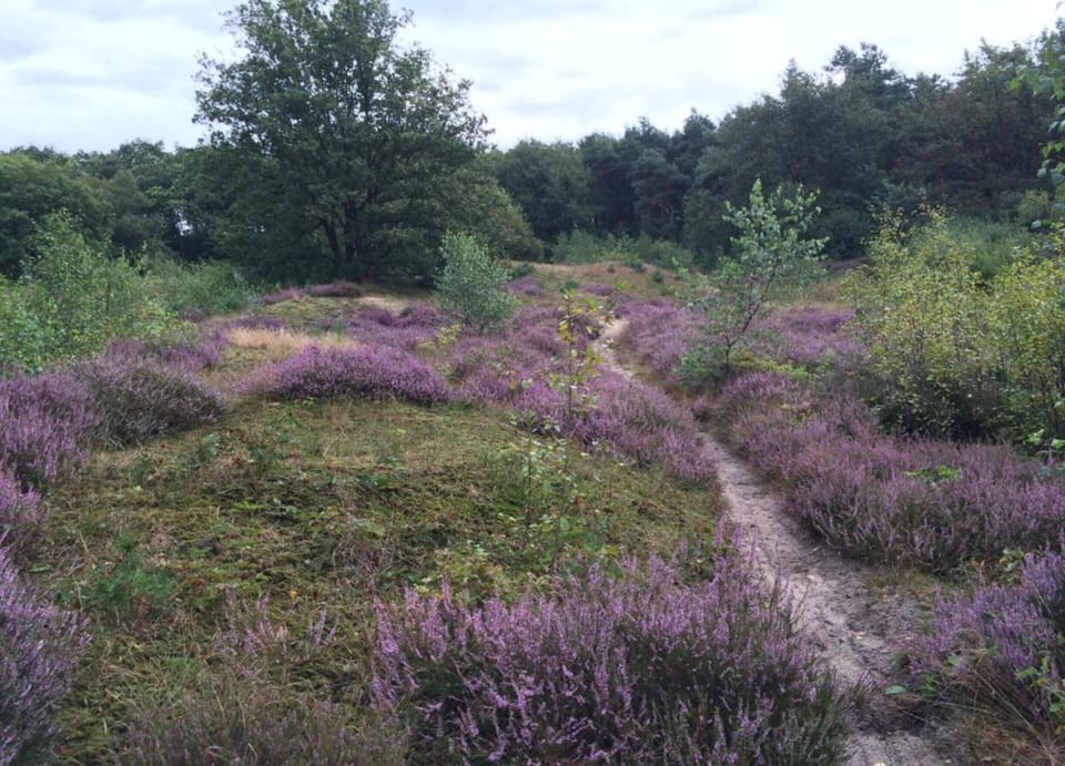 Villa | View from property