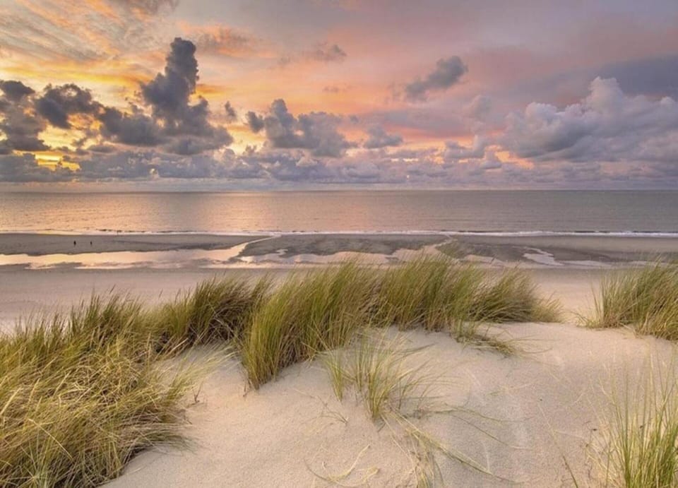 Bungalow in Cadzand Near North Sea Beach House in Zeeland, Netherlands